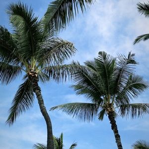 Meet your Posher, Charles